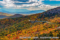 加州伯克利分校EECS碩士讀幾年？