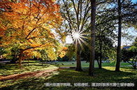 英國伯明翰留學(xué)生活費(fèi)多少錢？