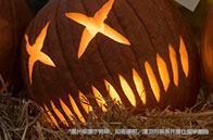 蒙特利爾大學(xué)計(jì)算機(jī)學(xué)院怎么樣？