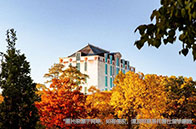 加拿大商學(xué)院本科畢業(yè)去向怎樣？