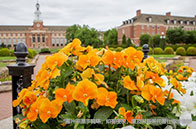 南洋理工大學就業能力排名第幾？