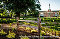 阿爾伯塔大學(xué)2025qs排名第幾？恭喜進(jìn)入全球百強(qiáng)！