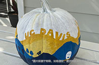 接受雅思拼分的加拿大大學(xué)有哪些？