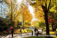 約翰霍普金斯大學應用數學與統計碩士就讀費用