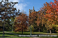 新加坡名校申請咨詢常識匯總