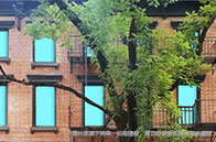 出國留學如何參考世界排名？