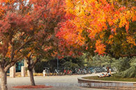 NUS商業(yè)分析碩士學(xué)費(fèi)多少錢？