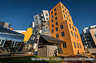 佛羅里達(dá)大學(xué)世界排名第幾？全球100+